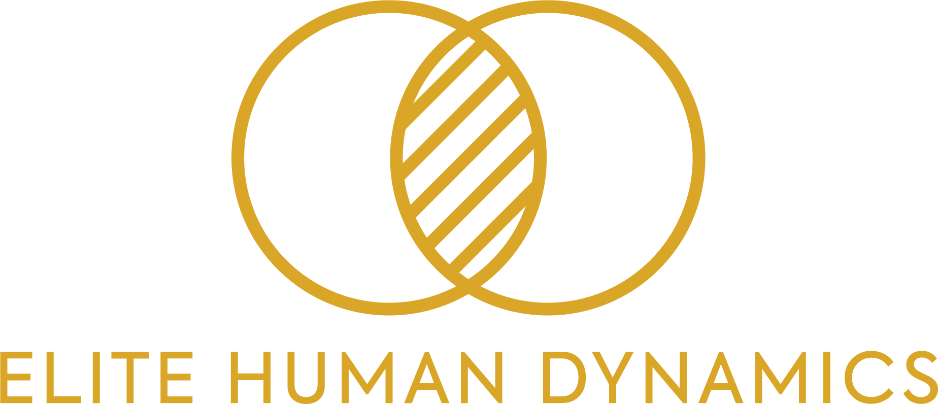 Elite Human Dynamics